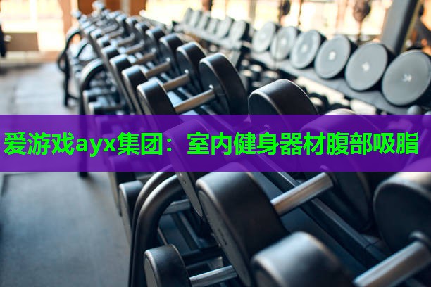 <strong>爱游戏ayx集团：室内健身器材腹部吸脂</strong>