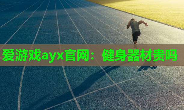 爱游戏ayx官网：健身器材贵吗