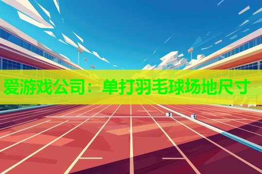 爱游戏公司：单打羽毛球场地尺寸