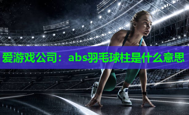 爱游戏公司：abs羽毛球柱是什么意思