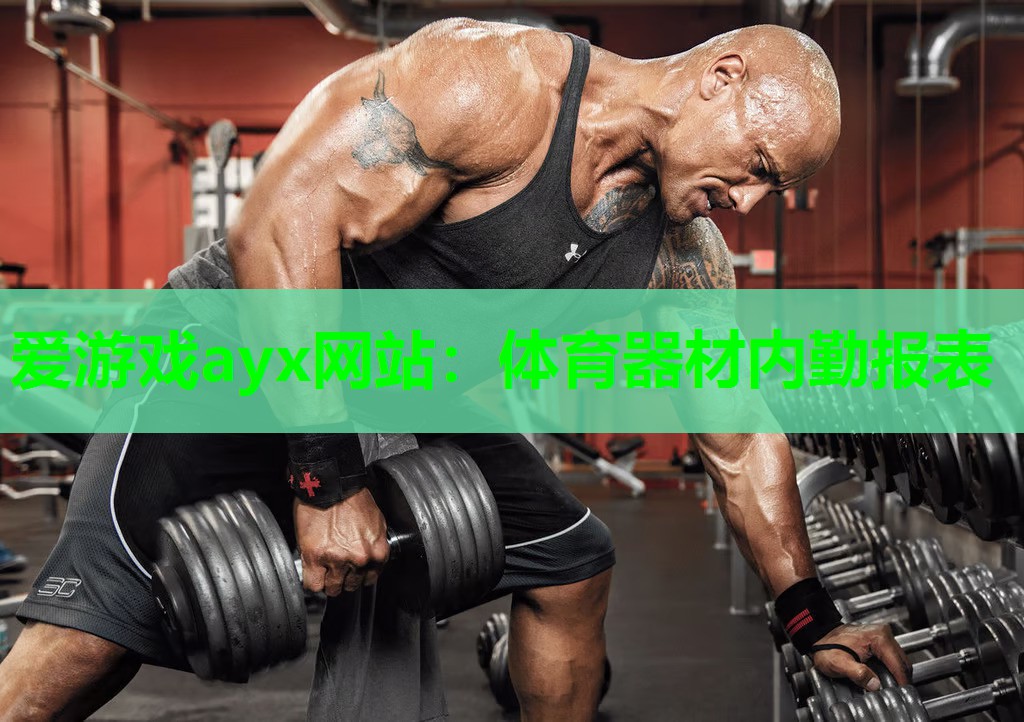 爱游戏ayx网站：体育器材内勤报表