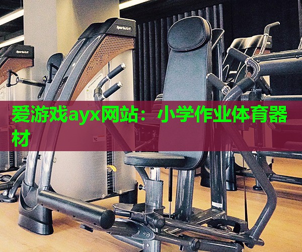 爱游戏ayx网站：小学作业体育器材