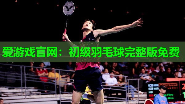 爱游戏官网：初级羽毛球完整版免费