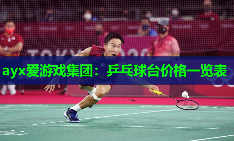 ayx爱游戏集团：乒乓球台价格一览表