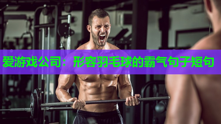 爱游戏公司：形容羽毛球的霸气句子短句