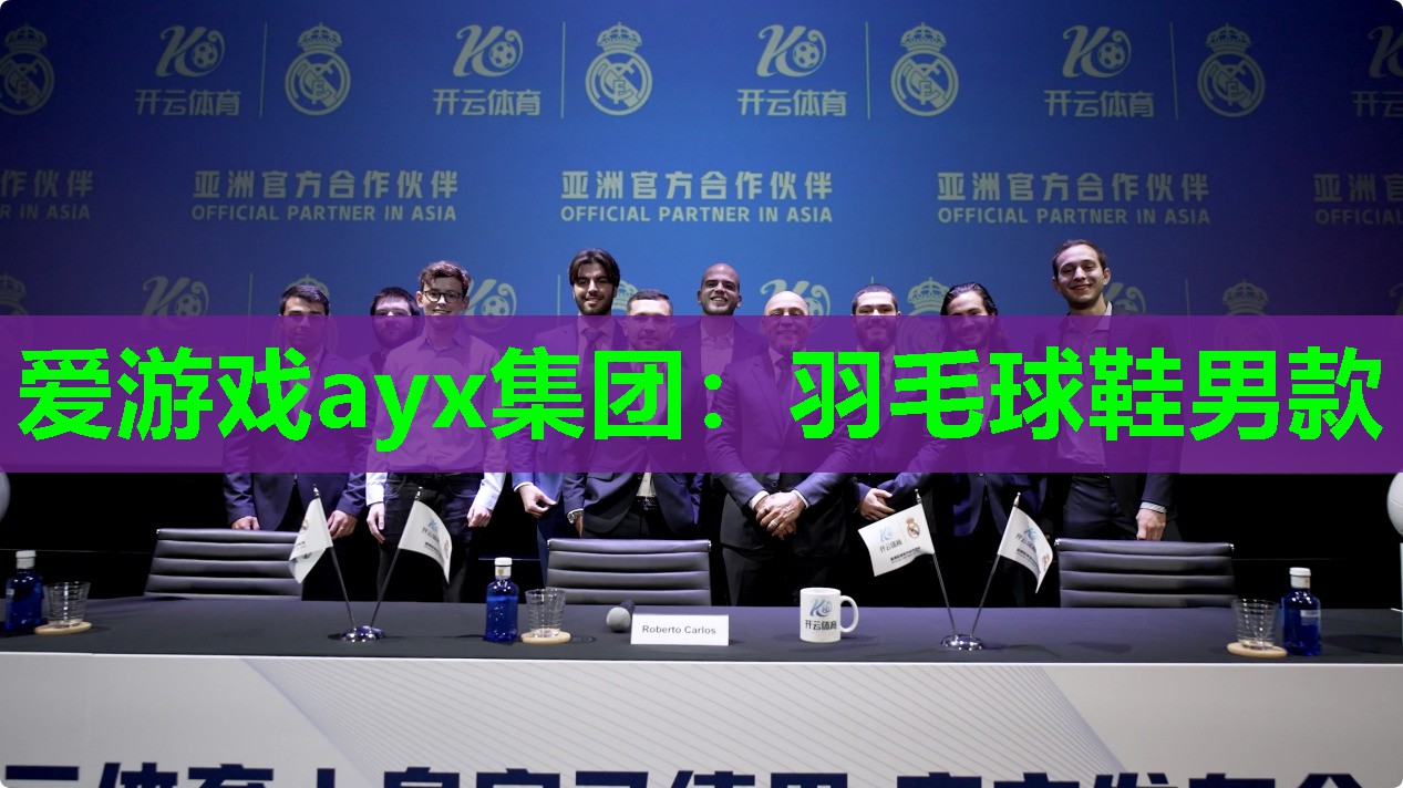 爱游戏ayx集团：羽毛球鞋男款