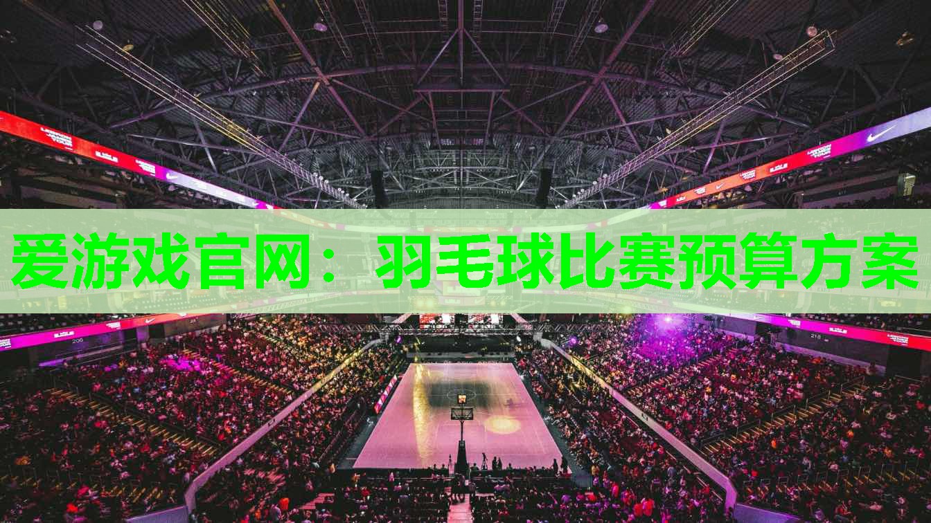 爱游戏官网：羽毛球比赛预算方案