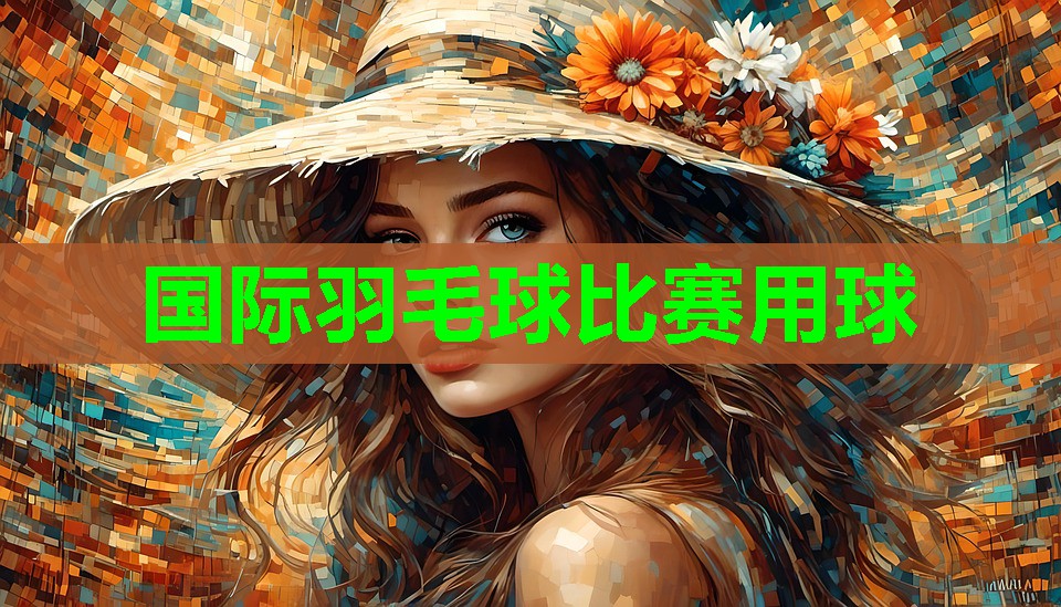 国际羽毛球比赛用球