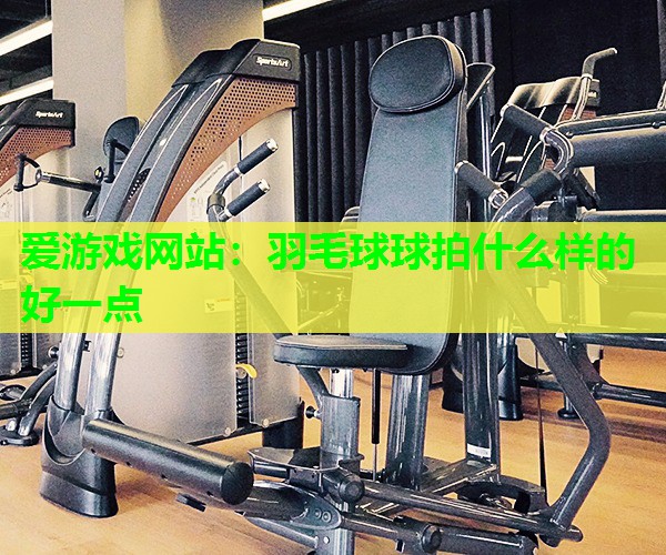 爱游戏网站：羽毛球球拍什么样的好一点