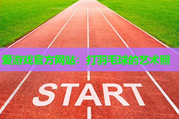 爱游戏官方网站：打羽毛球的艺术照