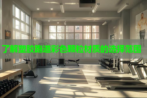 了解塑胶跑道彩色颗粒材质的选择范围