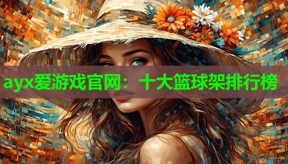 十大篮球架排行榜