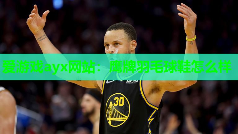 鹰牌羽毛球鞋怎么样
