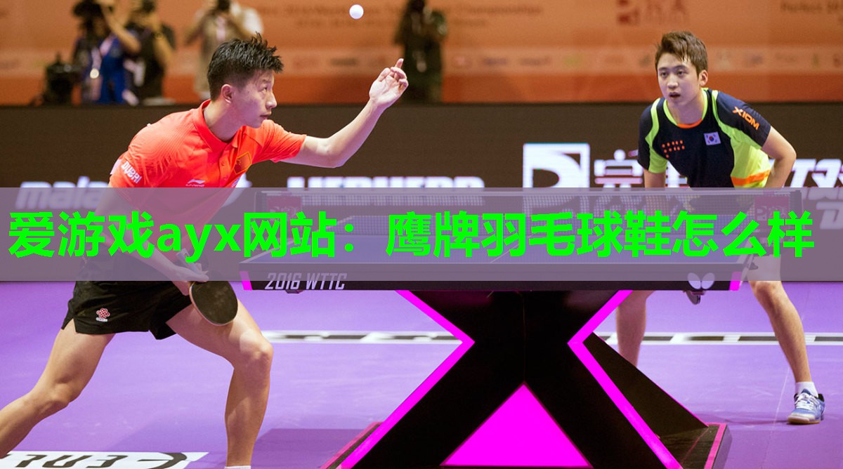 鹰牌羽毛球鞋怎么样