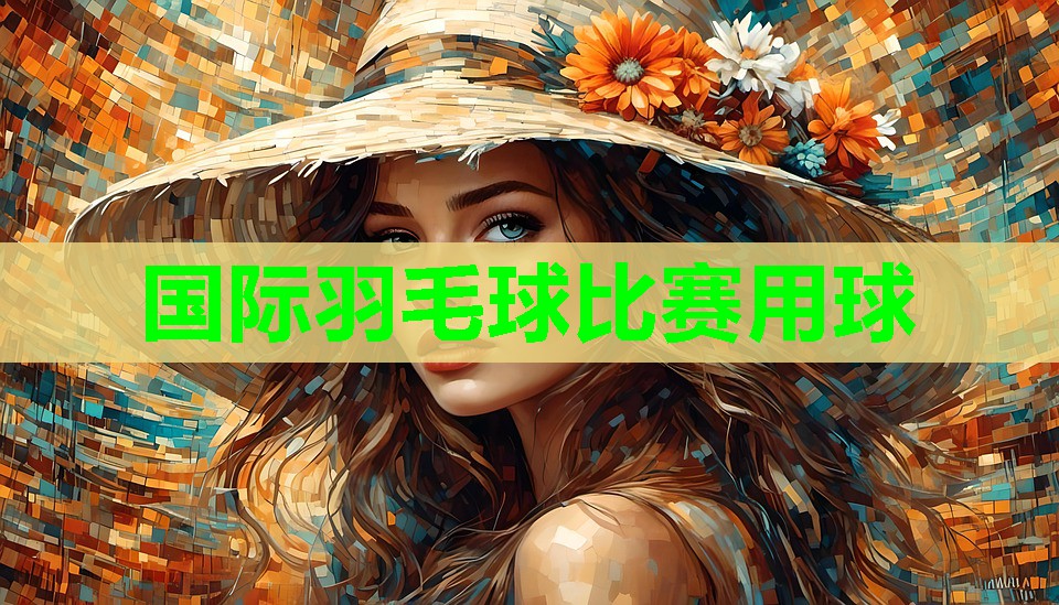 国际羽毛球比赛用球