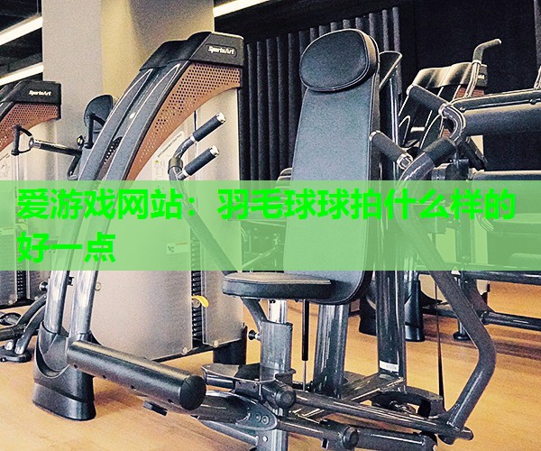 羽毛球球拍什么样的好一点