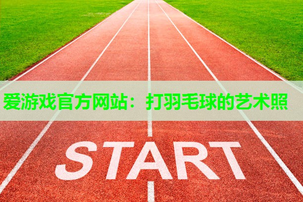 打羽毛球的艺术照